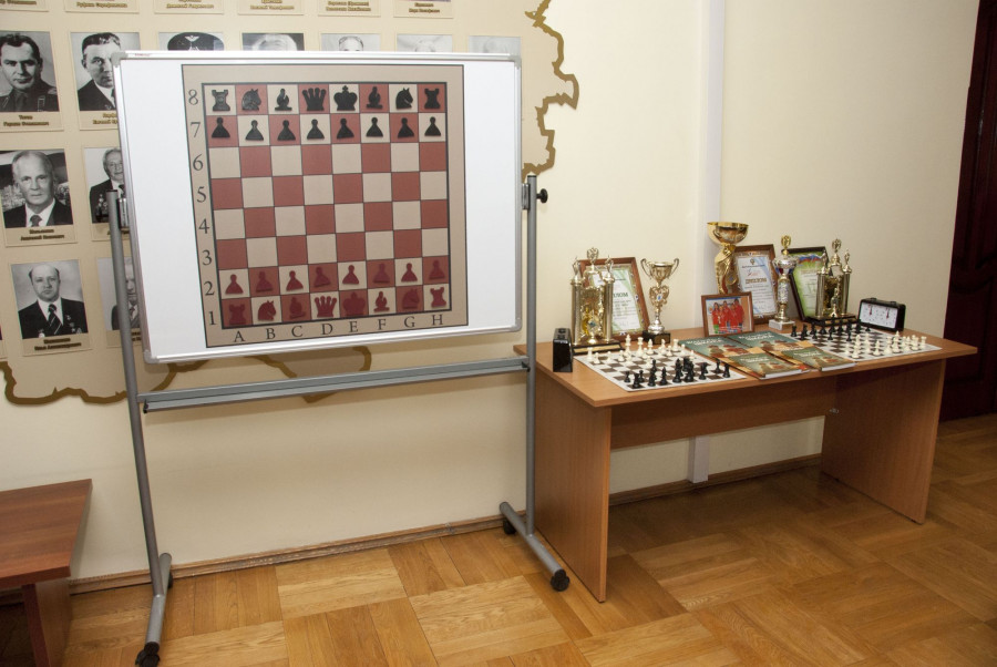 В Алтайском крае стартует проект &quot;Шахматы в школе&quot;.