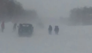 Замело дорогу. 21 января 2017 года.