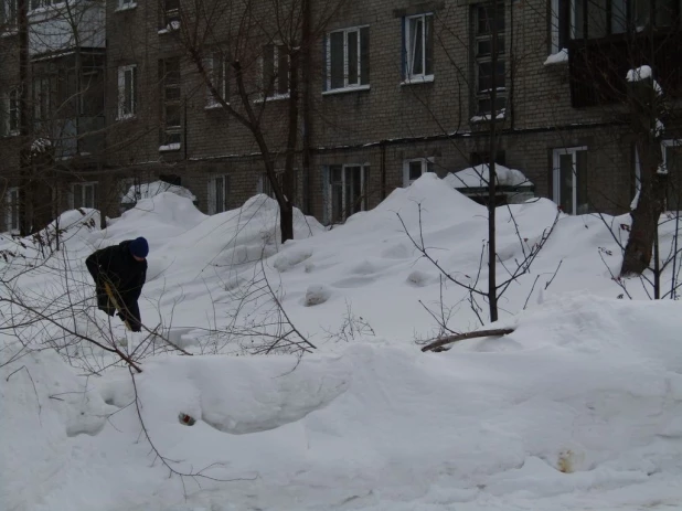 Сугробы в Барнауле и Новоалтайске.