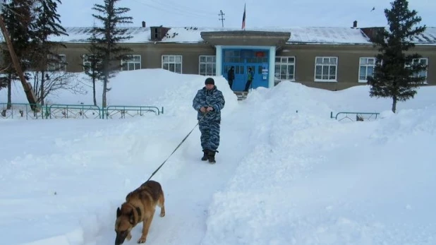 Вора искали с помощью служебной собаки.