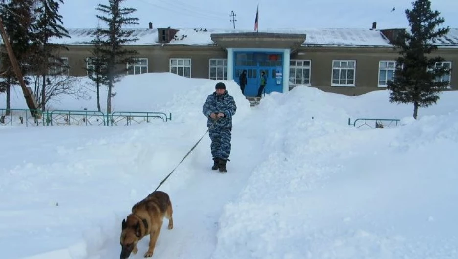 Вора искали с помощью служебной собаки.