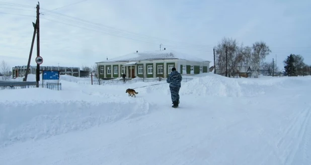 В Немецком районе вора искали с помощью служебной собаки.