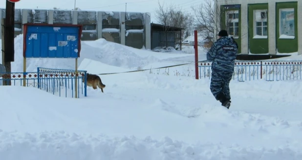 В Немецком районе вора искали с помощью служебной собаки.