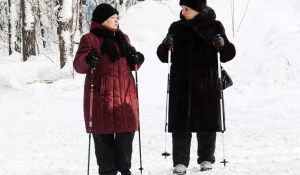 Скандинавская ходьба на лыжной базе "Динамо"