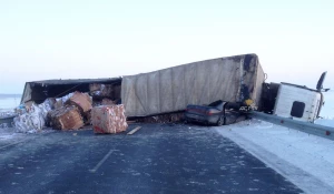 ДТП на трассе "Иртыш" в Новосибирской области. 2 февраля 2017 года.