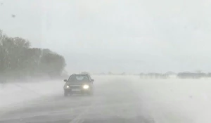 Метель на бийской трассе.