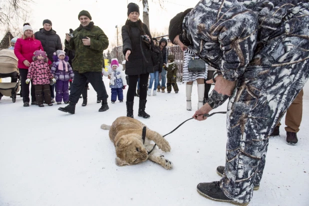 Ночь в барнаульском зоопарке.