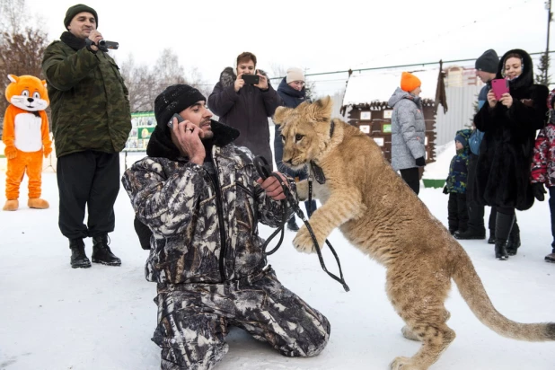 Ночь в барнаульском зоопарке.