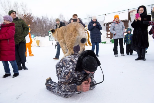 Ночь в барнаульском зоопарке.