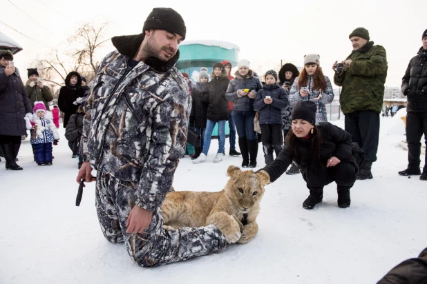 Ночь в барнаульском зоопарке.