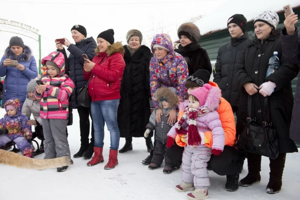 Ночь в барнаульском зоопарке.