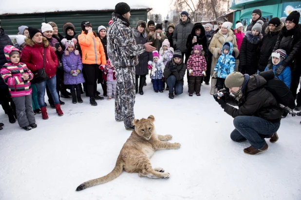 Ночь в барнаульском зоопарке.