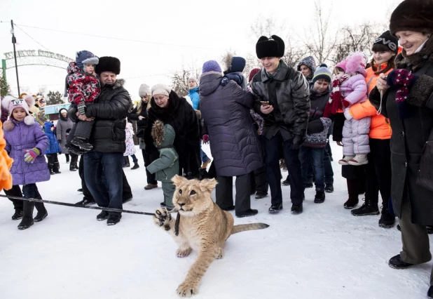 Ночь в барнаульском зоопарке.