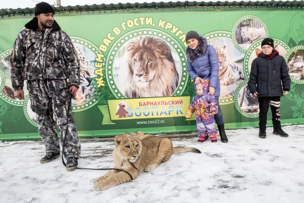 Ночь в барнаульском зоопарке.