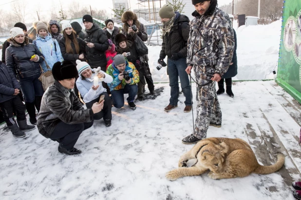 Ночь в барнаульском зоопарке.