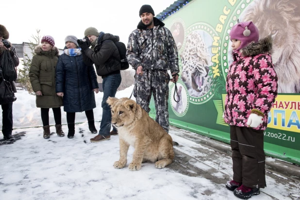 Ночь в барнаульском зоопарке.