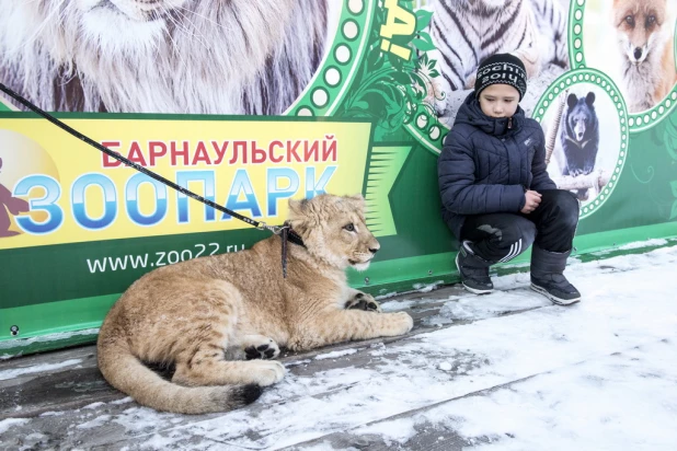 Ночь в барнаульском зоопарке.