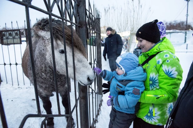 Ночь в барнаульском зоопарке.