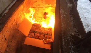 В Барнауле уничтожили подкарантинные семена.