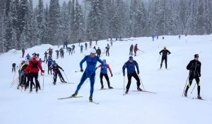 Соревнованиях по лыжным гонкам.