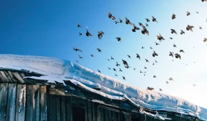 Снег на крыше, потепление.