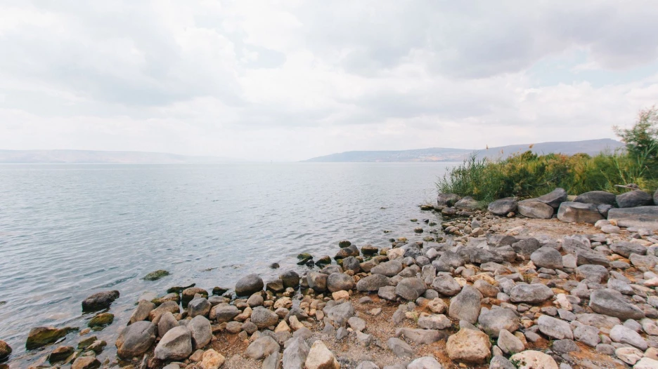 Водоем.  Озеро.