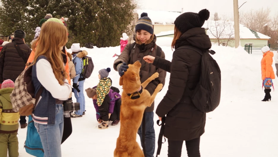 15-летие барнаульского приюта "Ласка".