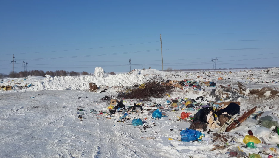 Незаконная свалка в Ребрихе