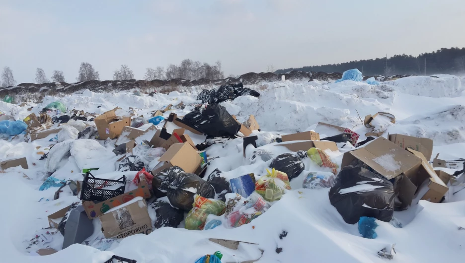 Незаконная свалка в Павловске