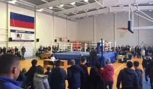 Чемпионат Алтайского края по смешанному боевому единоборству (ММА).