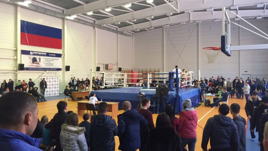 Чемпионат Алтайского края по смешанному боевому единоборству (ММА).