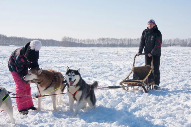 Зимний фестиваль в семейно-развлекательном комплексе "Березка".