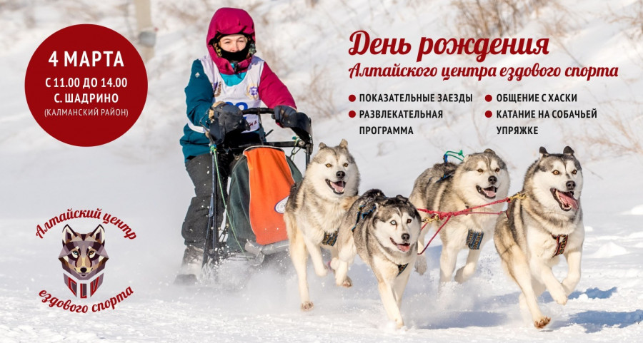 Показательные заезды титулованных каюров Сибири на собачьих упряжках.