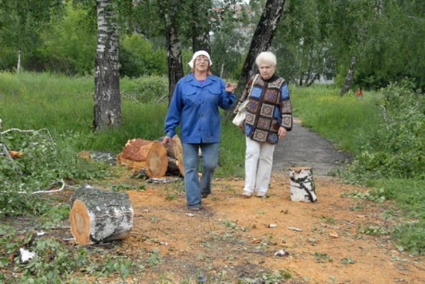 В "Мизюлинской роще" вырубают деревья. 