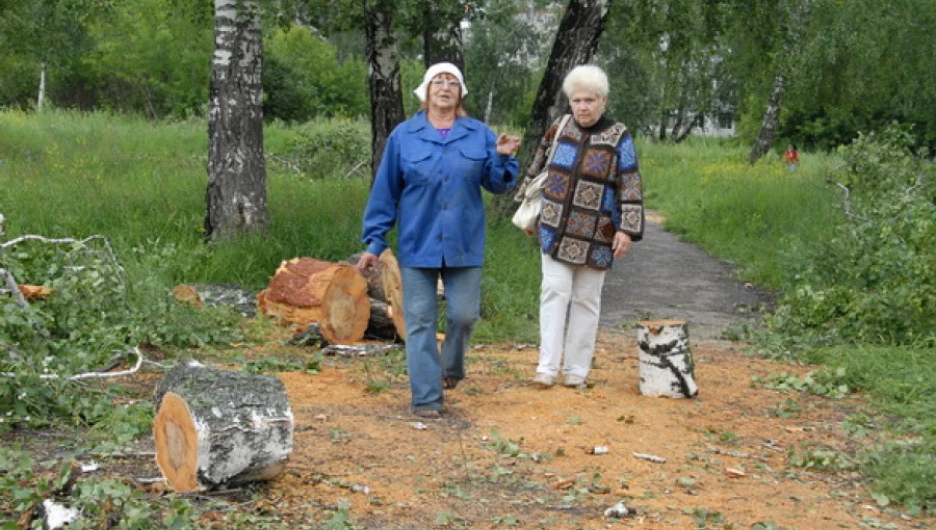 В "Мизюлинской роще" вырубают деревья. 
