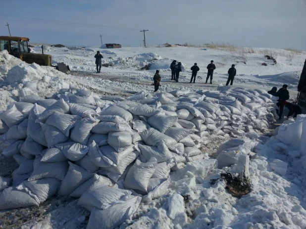 На Алтае сожгли партию орехов.