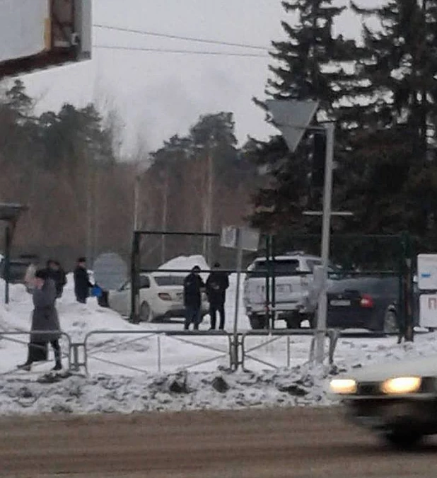 В Новосибирске на улице Богдана Хмельницкого строители вырубили сосны. 27 февраля 2017 года.