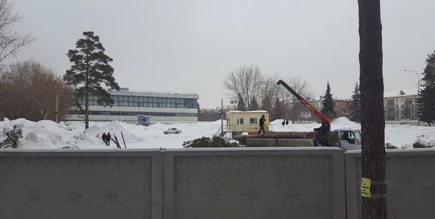 В Новосибирске на улице Богдана Хмельницкого строители вырубили сосны. 27 февраля 2017 года.