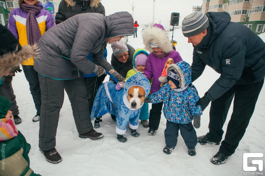Масленица вместе с ИСК "Алгоритм".