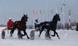 Большие бега в Барнауле.