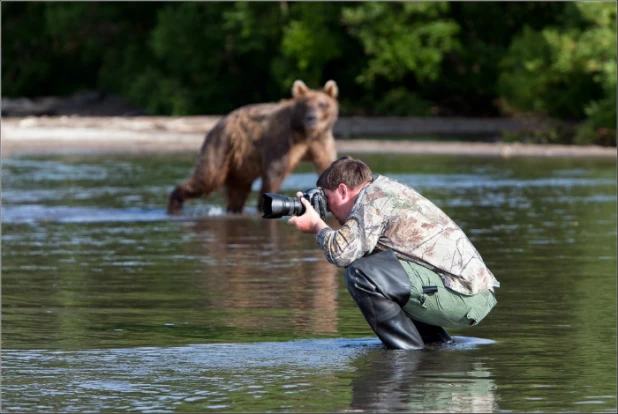 Фотографы в курьезных ситуациях.