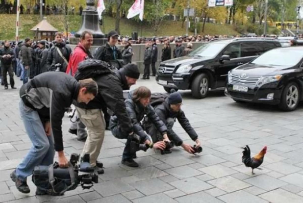 Фотографы в курьезных ситуациях.