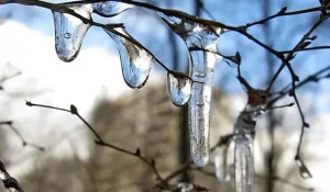 Весна в Банке "Акцепт": ставки по кредитам тают.