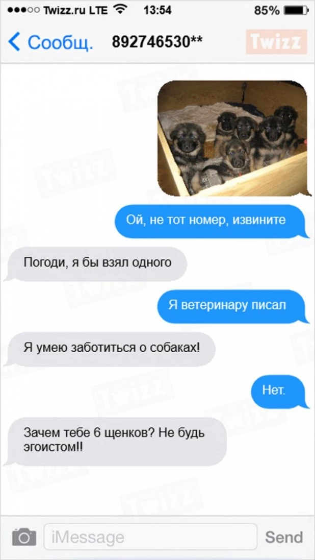 СМС со смешным ответом. 