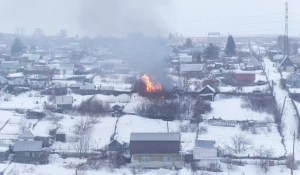 В Барнауле сгорел садовый дом. 