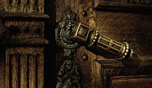 Дверь. Ручка дверная.