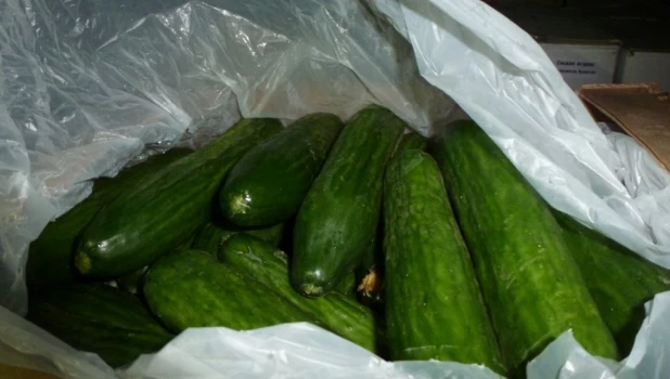 Огурцы из Казахстана.