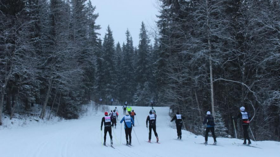 Покорили «Васалоппет»: Как наши лыжники участвовали во всемирно известном марафоне в Швеции