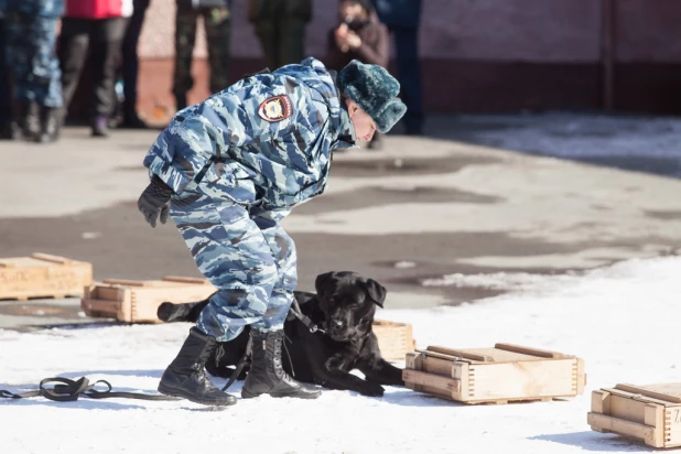 Соревнования кинологов