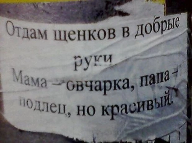 Смешные надписи.